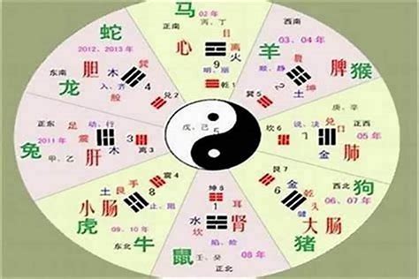 淳五行|淳字的五行属性